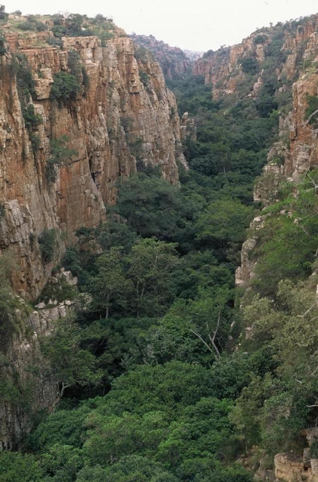 Tshiamo Bush - Utopia Chalé Buffelspoort